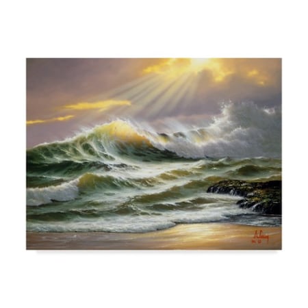 Anthony Casay 'Coast Line 4' Canvas Art,14x19